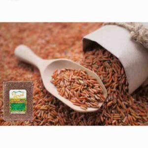 ข้าวกล้องหอมมะลิแดง ออร์แกนิค