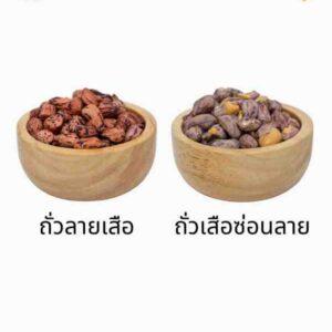 ถั่วลายเสือ คั่วอบแห้ง